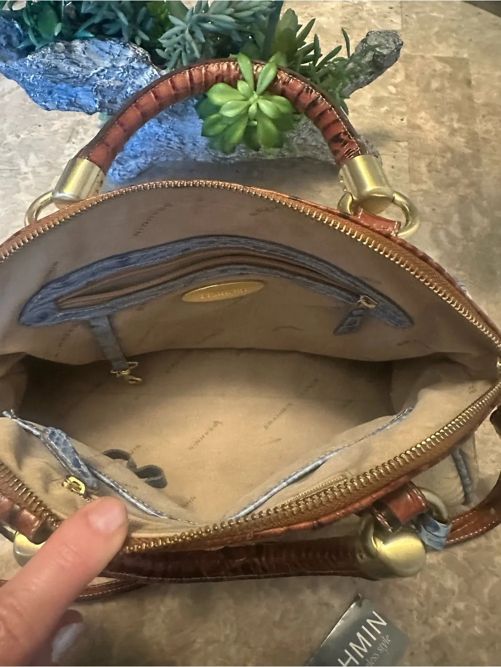 Brahmin elegant croc